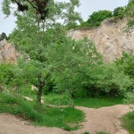 Teve-szikla, Pilisborosjenő - Külső kép