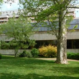 Danubius Health Spa Resort Margitsziget Budapest - Medence/kert