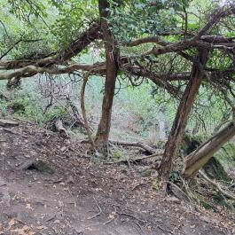 Tihanyi barátlakások Tihany - Külső kép