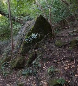 Tihanyi barátlakások