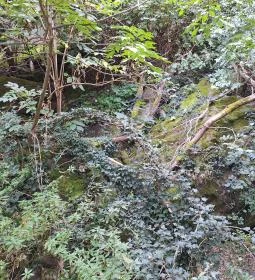 Tihanyi barátlakások