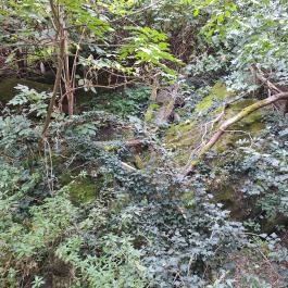 Tihanyi barátlakások Tihany - Külső kép