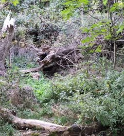 Tihanyi barátlakások