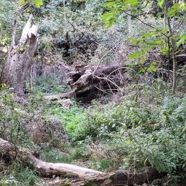 Tihanyi barátlakások Tihany - Külső kép