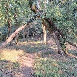 Tihanyi barátlakások Tihany - Külső kép