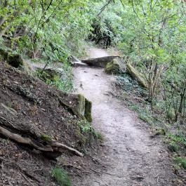 Tihanyi barátlakások Tihany - Egyéb