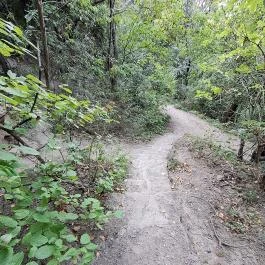 Tihanyi barátlakások Tihany - Egyéb