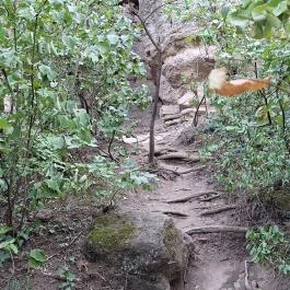 Tihanyi barátlakások Tihany - Egyéb