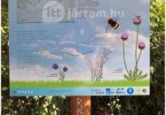 Tihanyi barátlakások Tihany