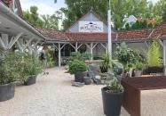 Tihanyi Piac Placc Tihany