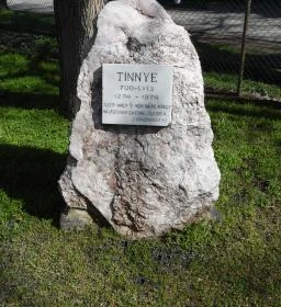 Tinnye 700 éves 