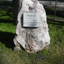 Tinnye 700 éves Tinnye - Egyéb