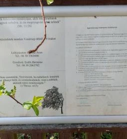 Tinnyei Református templom