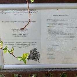 Tinnyei Református templom Tinnye - Egyéb