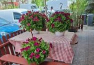 TIR Csárda Szabadegyháza