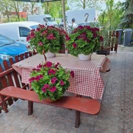 TIR Csárda, Szabadegyháza - Egyéb