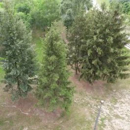 Tisza-parti kilátó Tiszakécske - Külső kép