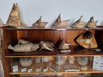 Tisza-tavi Horgászmúzeum Sarud