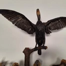 Tisza-tavi Horgászmúzeum Sarud - Egyéb