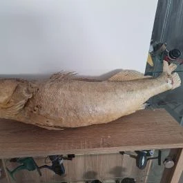 Tisza-tavi Horgászmúzeum Sarud - Egyéb