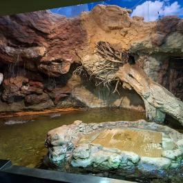 Tisza-tavi Ökocentrum Poroszló - Egyéb