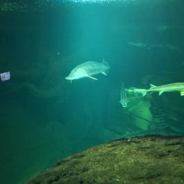 Tisza-tavi Ökocentrum Poroszló - Egyéb