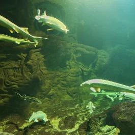 Tisza-tavi Ökocentrum Poroszló - Egyéb