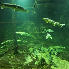 Tisza-tavi Ökocentrum Poroszló - Egyéb