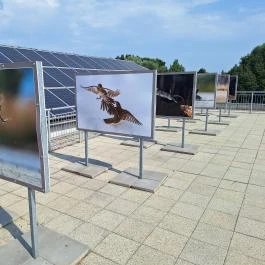 Tisza-tavi Ökocentrum Poroszló - Egyéb
