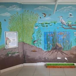 Tisza-tavi Ökocentrum Poroszló - Egyéb