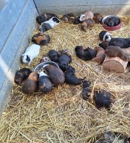 Tisza-tavi Ökocentrum