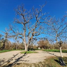 Tiszakóródi Túr-bukó Tiszakóród - Külső kép