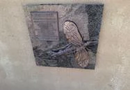 Tiszavirágzás szobor Szeged