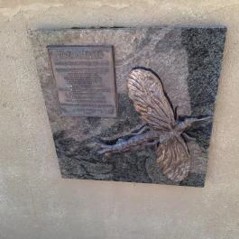 Tiszavirágzás szobor, Szeged - Egyéb