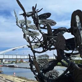 Tiszavirágzás szobor, Szeged - Egyéb