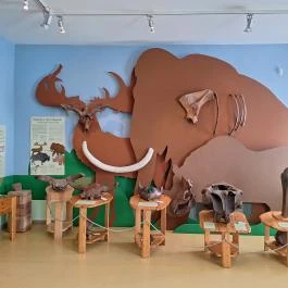 Tiszazugi Földrajzi Múzeum, Tiszaföldvár - Belső