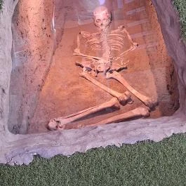 Tiszazugi Földrajzi Múzeum, Tiszaföldvár - Egyéb