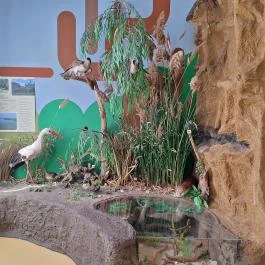 Tiszazugi Földrajzi Múzeum, Tiszaföldvár - Egyéb