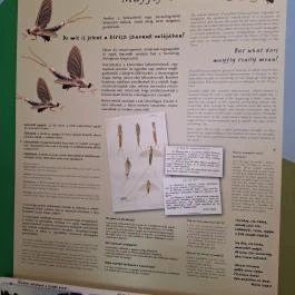 Tiszazugi Földrajzi Múzeum, Tiszaföldvár - Egyéb