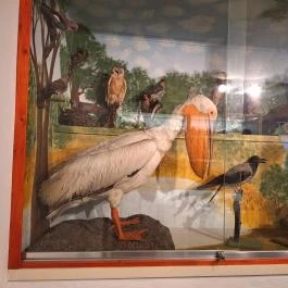 Tiszazugi Földrajzi Múzeum, Tiszaföldvár - Egyéb