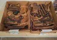 Tiszazugi Földrajzi Múzeum Tiszaföldvár