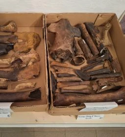 Tiszazugi Földrajzi Múzeum