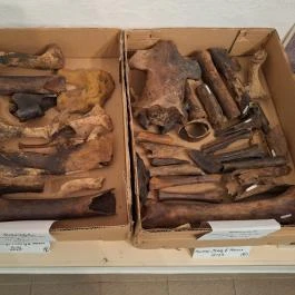 Tiszazugi Földrajzi Múzeum, Tiszaföldvár - Egyéb