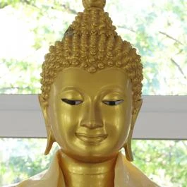 Tiszta Tudat Sztúpa, Budapest - Egyéb