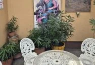 Tök Király Étterem és Pizzéria Aba