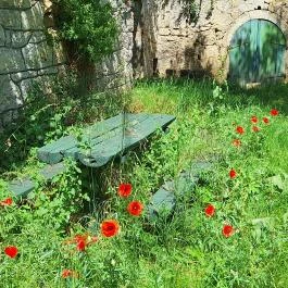 Töki pincesor Tök - Külső kép