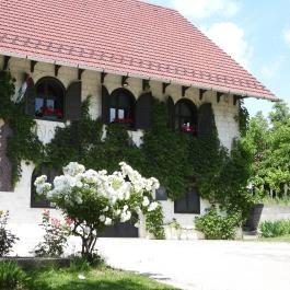 Töki pincesor Tök - Külső kép