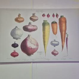 Tokymon Sushi & Asian Cuisine Budapest - Egyéb