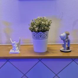 Tokymon Sushi & Asian Cuisine Budapest - Egyéb