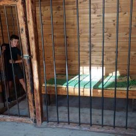 Tordasi Élményfalu Tordas - Belső